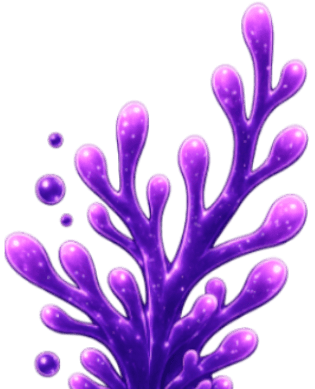 Coral seabed right